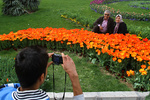 vahid sohrabi0014-1.jpg